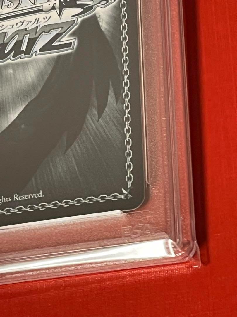 PSA10　運動後の栄養補給　アキ•ローゼンタールPR ヴァイスシュバルツ PSA10 運動後の栄養補給 アキ•ローゼンタールPR ヴァイス