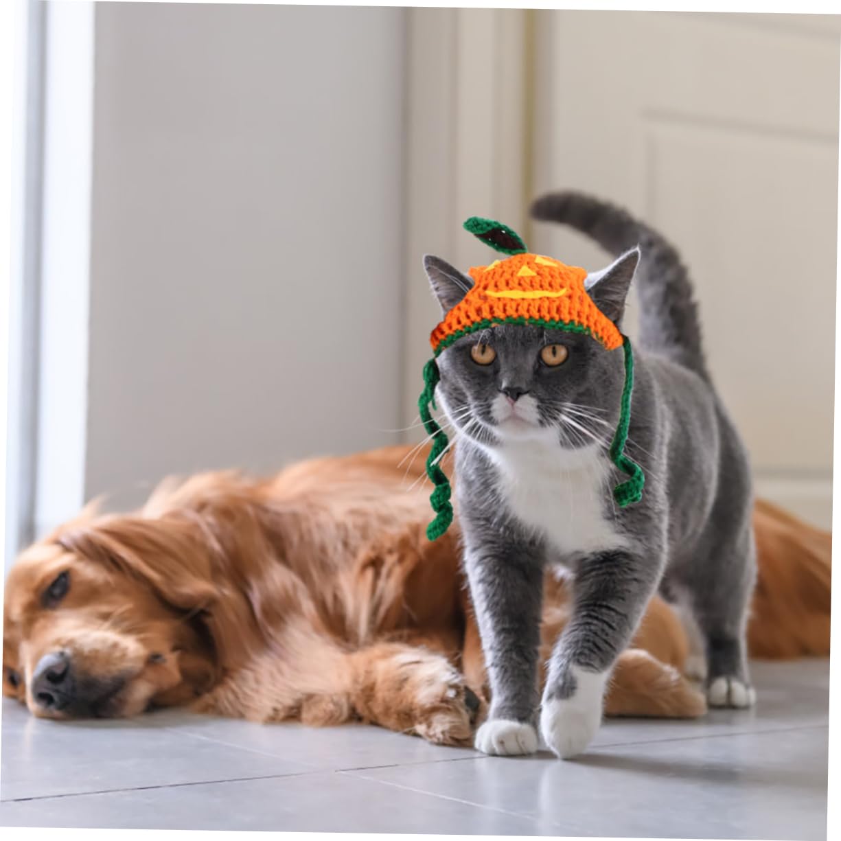 Sosoport 3 Pezzi Cappello Per Animali Domestici Di Halloween Cappello Esclusivo Per Animali Domestici Di Zucca Fatto A Mano Per Gatti