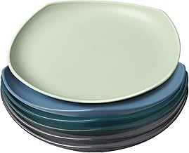 Greentainer Groß Teller 6er 24.1cm Speiseteller für BBQ,RV, Party, Picknick, Camping,Unzerbrechliches Plate aus PP für Kinder & Erwachsene|Leichtes Plastikteller| Mikrowellen & Spülmaschinenfest