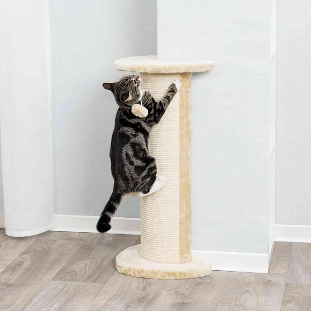 Foto 2 de 3 de TRIXIE Columna Rascadora Lorca, 75 cm, Beige