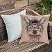 Poliestere morbidoFodera per Cuscino,Yorkie, immagine disegnata al computer realistica di Yorkshire Terrier con nastro dec,Fodere per Cuscini per Divano Divano Letto Decorativo per la casa, 45 x 45 cm