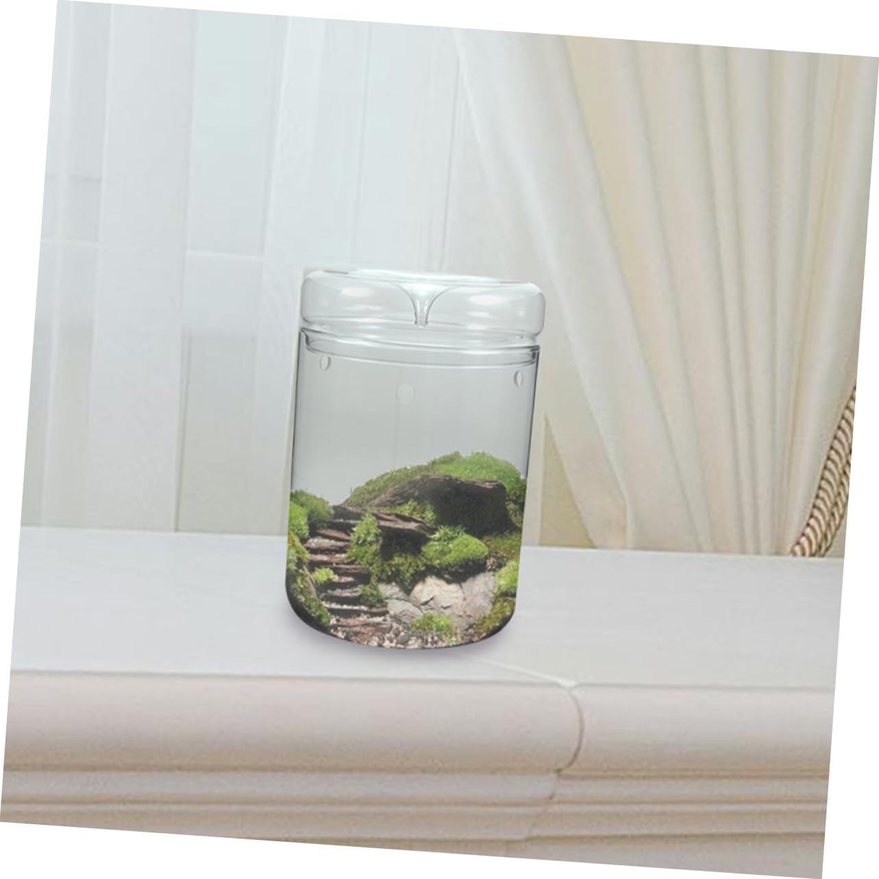 Terrarium for Micro Landscape Transparent Ecological Bottle Planter Decoration Suitable for Moss Plants and Flowers Plant Lovers