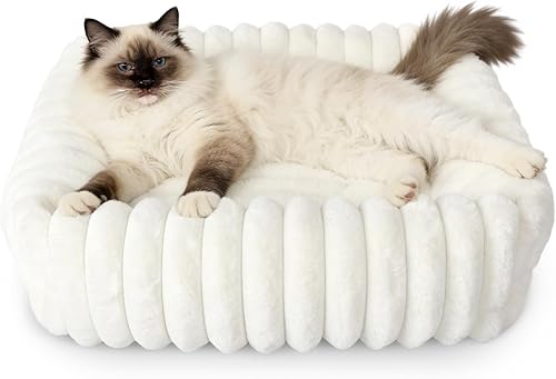 Miniatura 9 de Small Cat Beds for Indoor Cats Washable Furry Kitten Beds with Sides,Rectangle Orthopedic Soft Calming Comfy Sleeping Extra Small Pet Beds for Cats