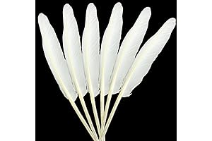 LWINGFLYER: Natural White Goose Feathers for Crafts