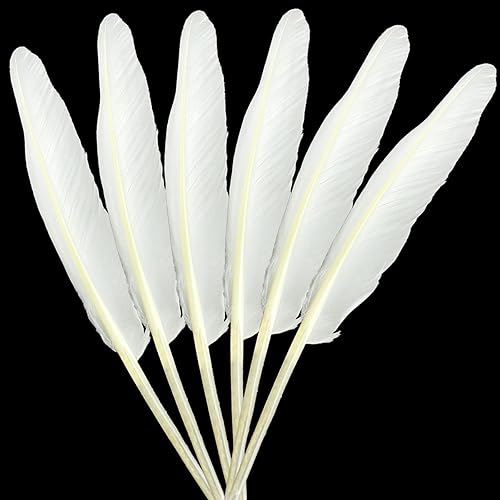 LWINGFLYER 25 plumas de ganso largas blancas de 10 a 12 pulgadas para manualidades, bodas, fiestas, decoración del hogar, accesorios, plumas de