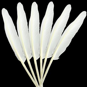 LWINGFLYER 25pcs White Long Goose Feathers 10-12 Inch for Crafts DIY Wedding Party Home Decorations Accessories Pen Feathers