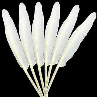 LWINGFLYER 25pcs White Long Goose Feathers 10-12 Inch for Crafts DIY Wedding Party Home Decorations Accessories Pen Feathers