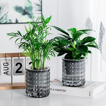 2PCS Self Watering Planters 4.7 Inch Self Watering Pots for Indoor Plants, African Violet Pots with Wick Rope, Flowers, Succulents, Herb, House Plants Gray