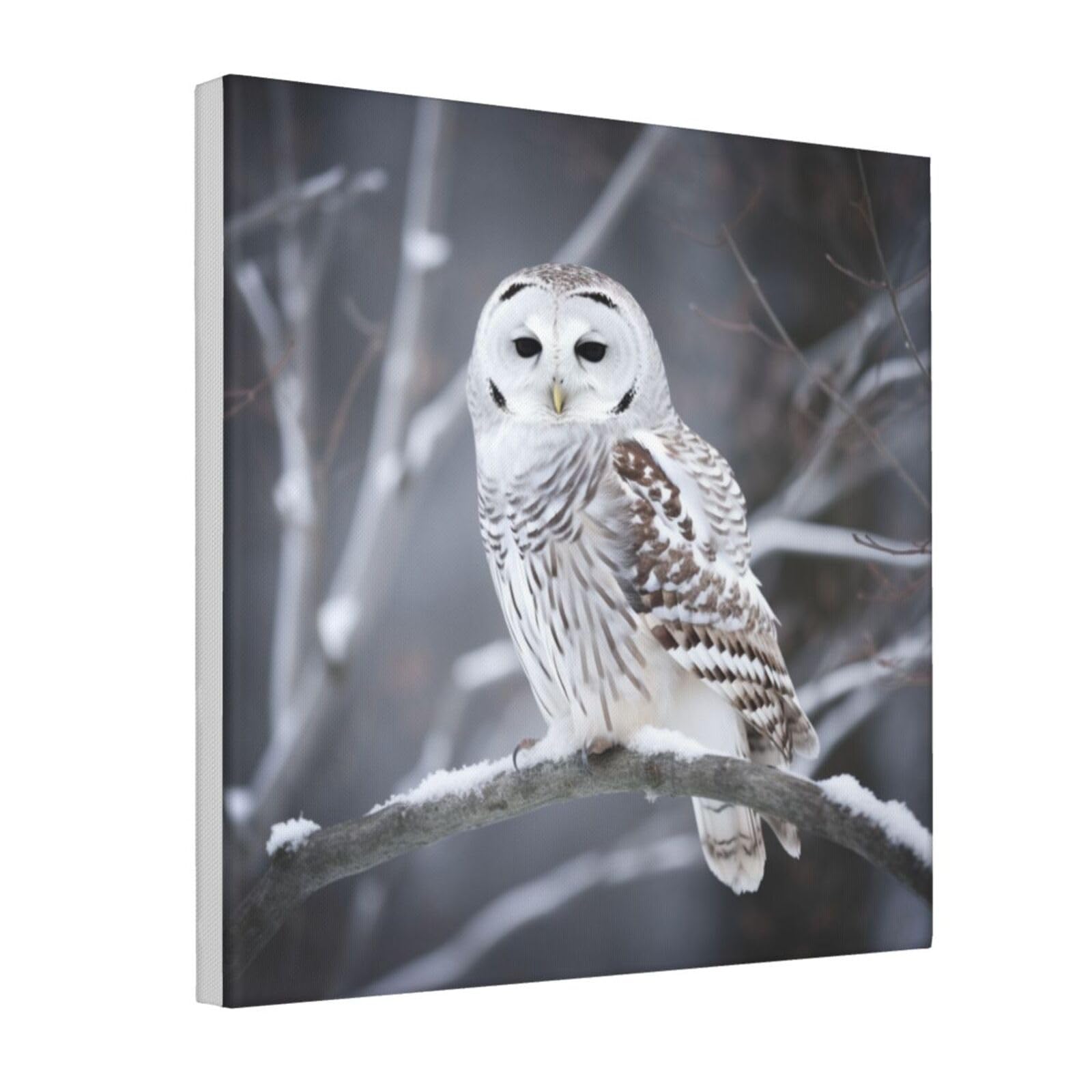 Tableau hibou blanc pour chambre déco moderne cocooning 40x40 - 8