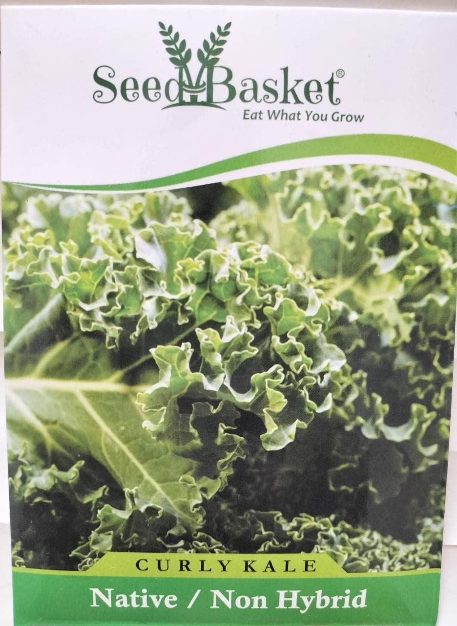 Exotic Curly Kale Seeds for Home Kitchen and Vegetable Gardening | 400 Seeds | Best in Germination | Free Growing Instruction Manual (B09D3NXBT9) Amazon Price History, Amazon Price Tracker