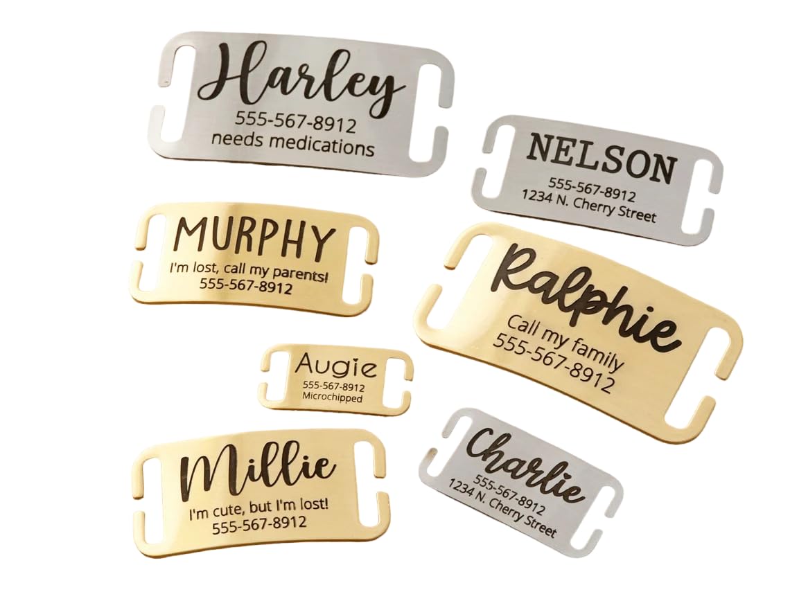 Adornkeys Slide on Dog Tag • Dog ID Tag • Dog Name Tags • Pet ID Tag • Collar Slide for Pets (B0CGZSF67T) Amazon Price History, Amazon Price Tracker