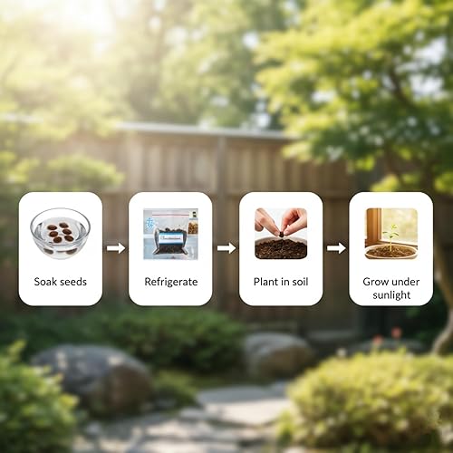 Miniatura 6 de Semillas de flor de cerezo japonés, semillas de bonsái, paquete de 30 semillas de árbol bonsái