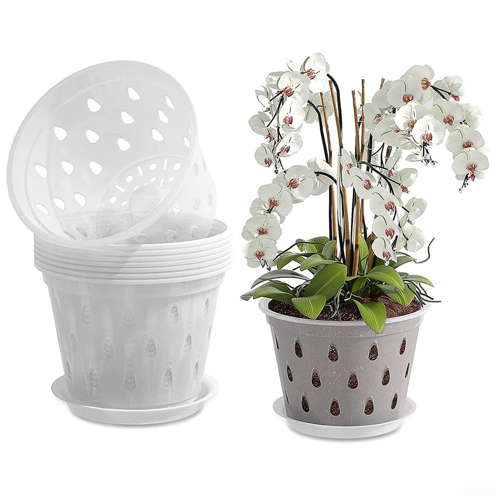 Vasi per orchidee in plastica trasparente Meshpot con fori e