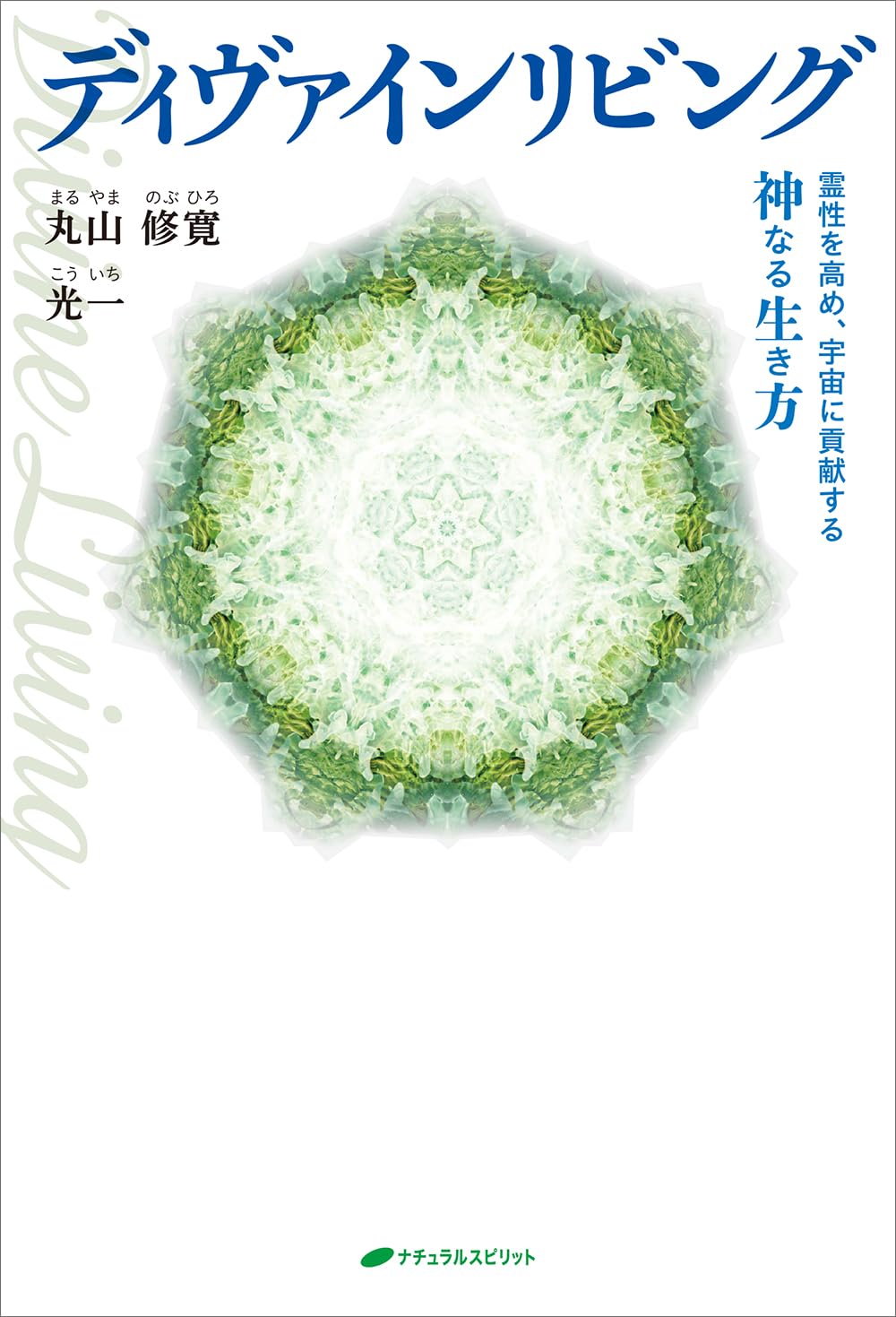 【治療家のためのクスリ絵 セミナーDVD】丸山修寛 手技DVD 整体DVD 2025年最新】丸山修寛 dvdの人気アイテム - メルカリ