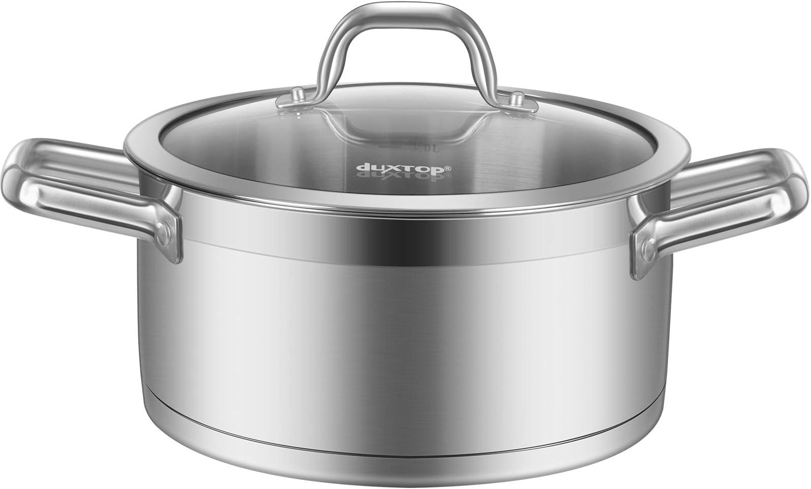 Duxtop Professional Stainless Steel Stock Pot with Glass Lid, Induction Cooking Pot, Impact-bonded Base Technology, 4.2 Quarts