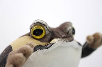 まつもと　ブルブルふるえるマスコット　かえる Amazon.co.jp: テイクオフ ぷるる ブルブルふるえる