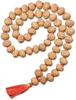 614BZ-VFXeL._AC_UF350,