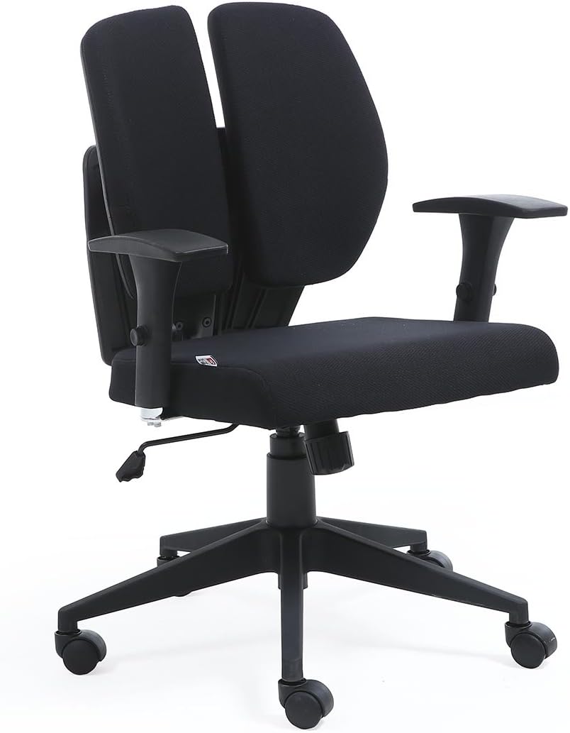 Modern Ergonomic Mid & Double Back Health Lumbar Support Task Office Chair (Black,Mesh)