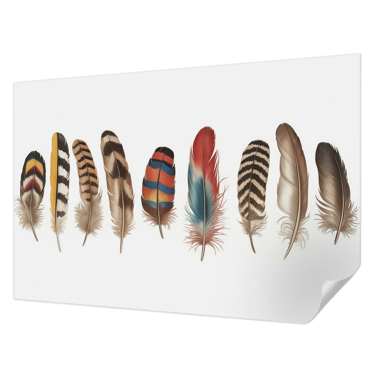 Papier Peint Adhésif Tulup 104x70 cm à Motif Plumes Colorées pour Décoration de Chambre
