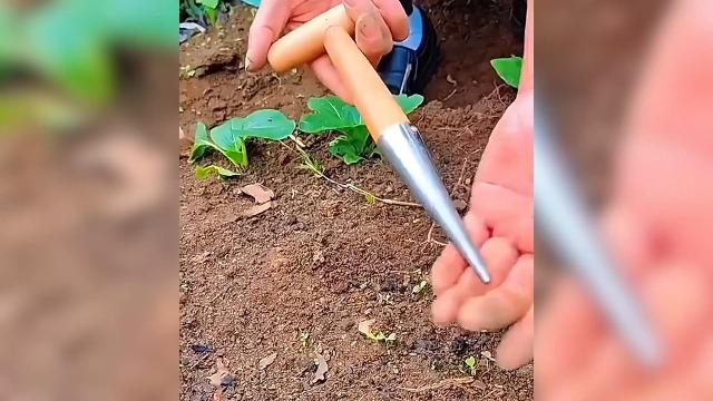 2026 New Plant Hole Digger para Jardinería miniatura 7