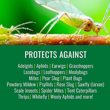 NATRIA Insecticidal Soap for Plants Indoors, Ready-to-Use Garden Bug Treatment, Insect Killer for Indoor and Outdoor Plants, 24 Ounce