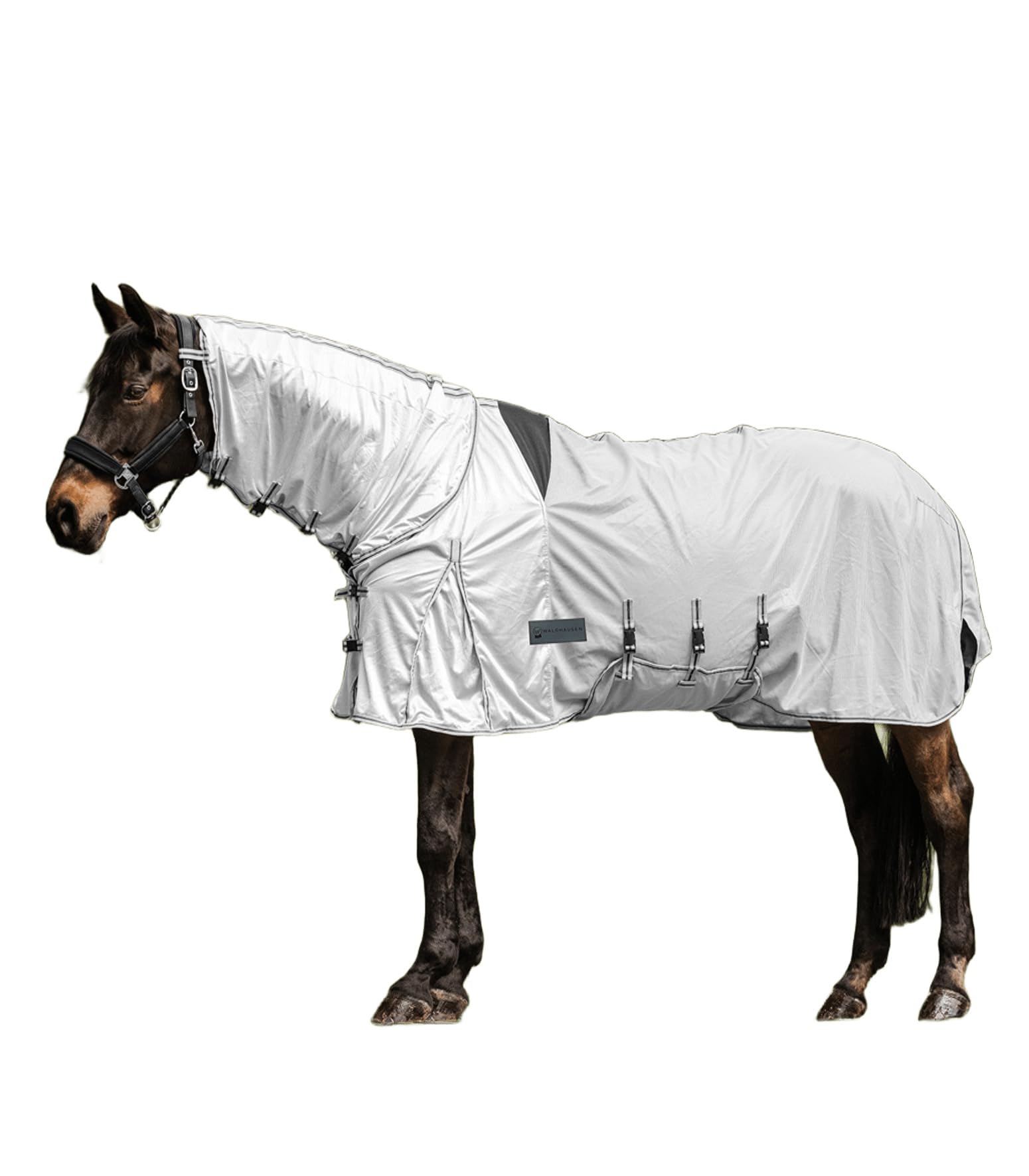 WALDHAUSEN Protect - Coperta con eczema, 125 cm, colore: Grigio/Grigio