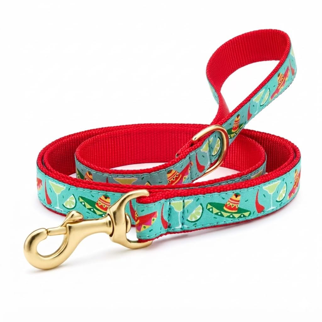 Up Country, Dog Lead Cinco De Mayo Pattern Leash with D-Ring, 5 Foot (5 Foot 1" Wide)