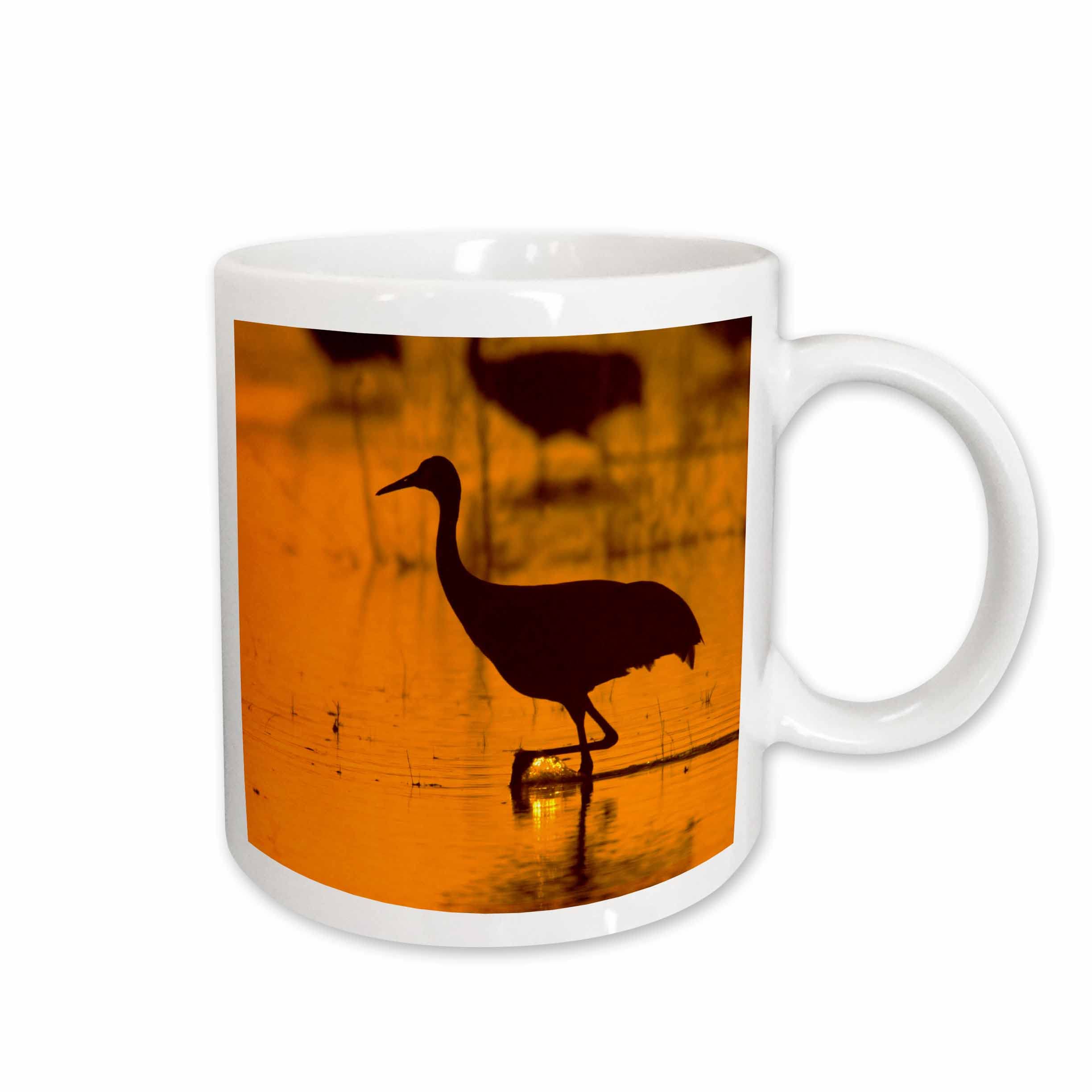 3dRoseNew Mexico, Bosque del Apache, Sandhill Crane bird - US32 PHA0002 -... - Mugs (mug_92916_1)