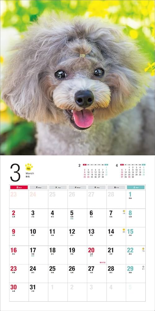 アンティーク　プードルの日めくりカレンダー 2025年カレンダー トイ・プードル (誠文堂新光社カレンダー