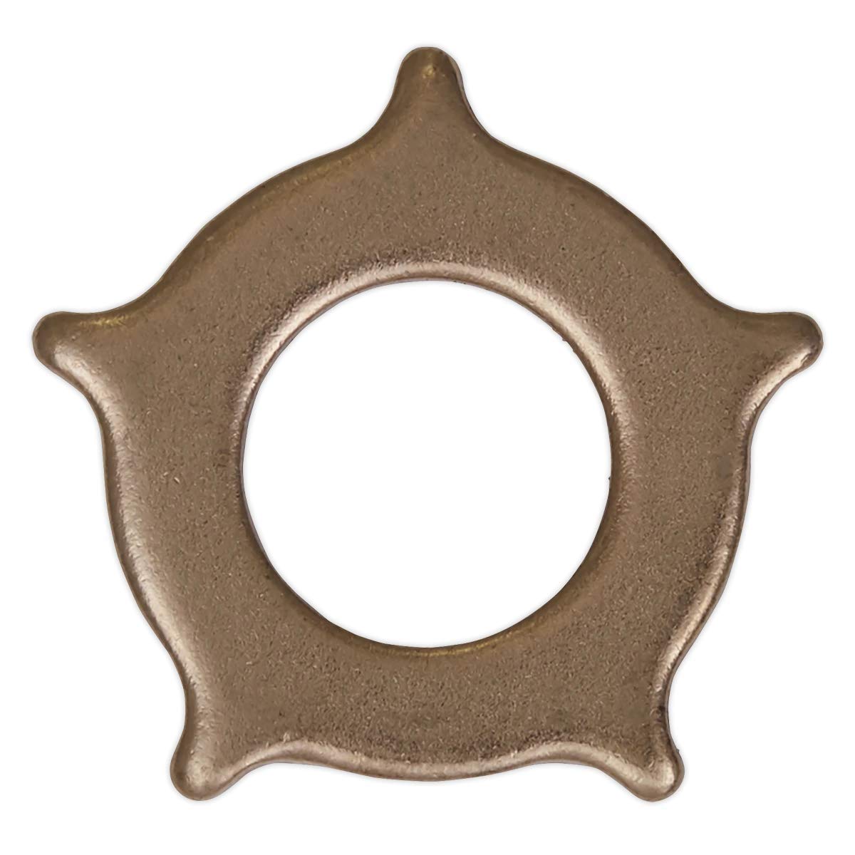 Sealey Sr2000.sw Star Washers For Sr2000 Pack Of 10