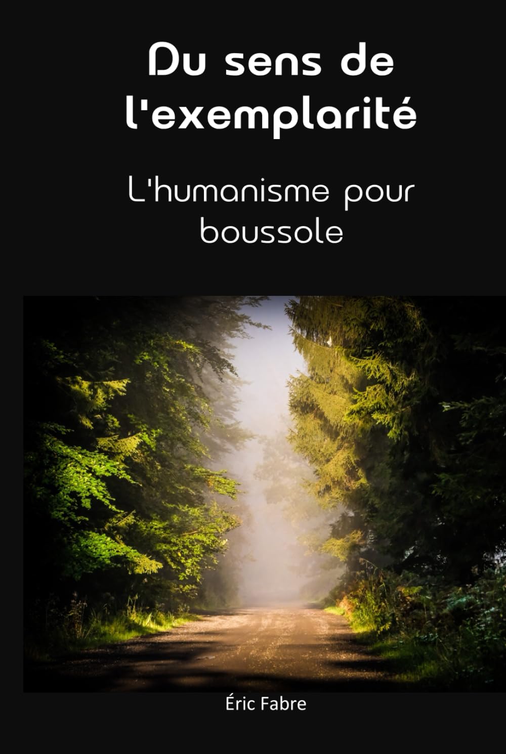 Du sens de l'exemplarité: L'humanisme pour boussole (Enquête de sens)