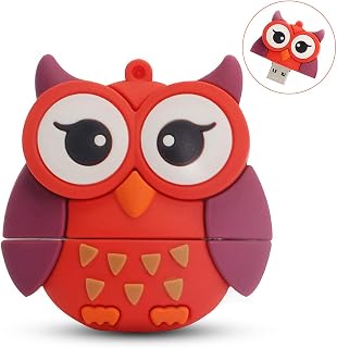 LEIZHAN Cute USB Flash Drive 16GB Owl Shape Computer Memory Stick USB 2.0 Pendrive for Teachers, Students, Family and Friends