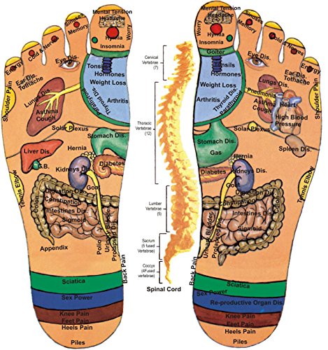 Foot Spa Bath Massager with Heat, 16 Pedicure Spa Motorized Shiatsu Roller Massaging Acupuncture Point, Frequency Conversion, O2 Bubbles, Adjustable Time & Temperature, LED Display Foot Spa Bath Massager with Heat, 16 Pedicure Spa Motorized Shiatsu Roller Massaging Acupuncture Point, Frequency Conversion, O2 Bubbles, Adjustable Time & Temperature, LED Display