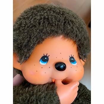 Amazon.co.jp: モンチッチ モンチッチ ジュニア セキグチ