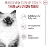Royal Canin Kitten Wet Cat Food, Kitten, 12 x 85 G
