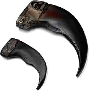 ネックレス・ペンダント Bone craft / three finger bear claw ネックレス・ペンダント Bone craft / three finger bear claw