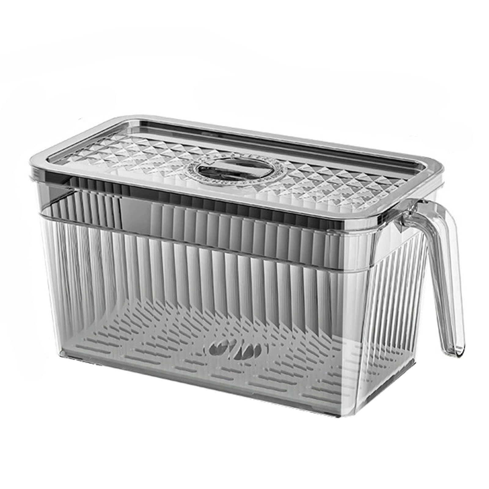 FOELANNE PET Fridge Storage Container with Lid and Handle