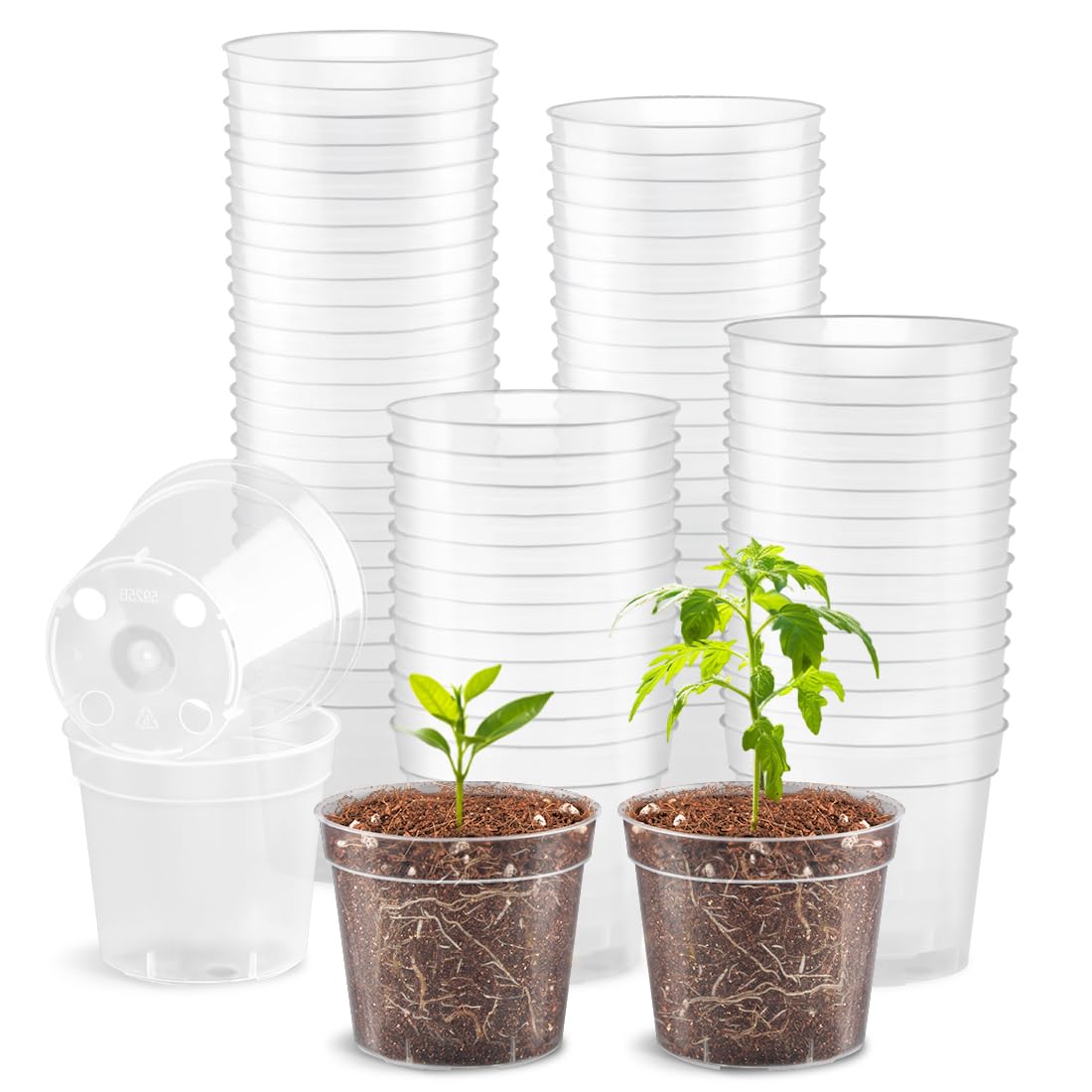RooTrimmer 100-Pack Clear Seeding Pots
