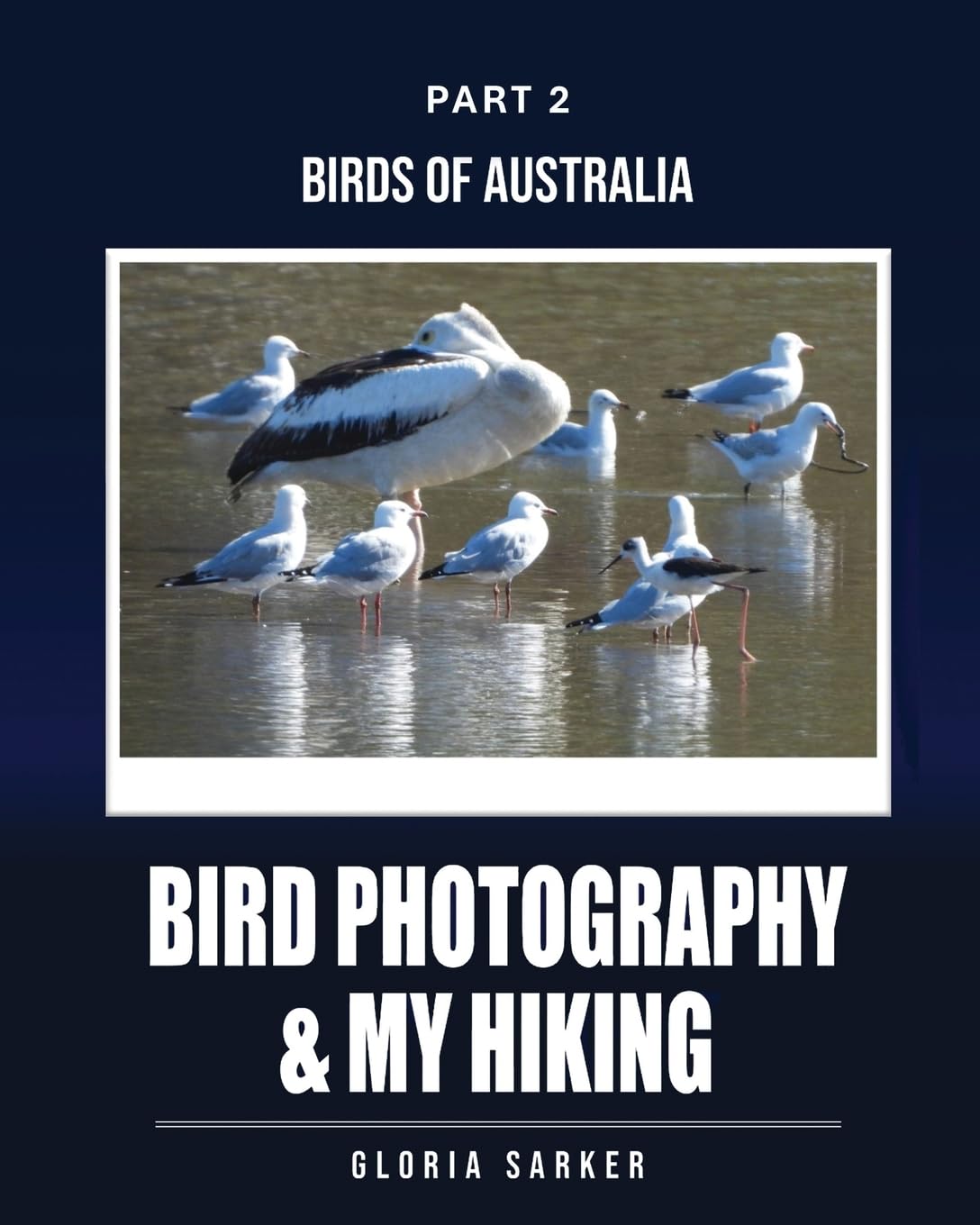 Bird Photography & My Hiking: BIRDS OF AUSTRALIA Part 2: Part 2: BIRDS of AUSTRALIA