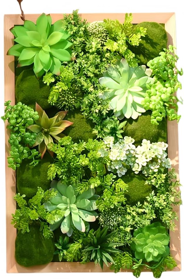 フェロカクタス黄棘 神仙玉◇大苗ドライガーデン多肉サボテン南国