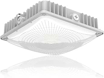 LED 75W Canopy Light Outdoor, Super Bright 5000K Daylight 9750LM IP65 Waterproof Outdoor Carport Ceiling Light, AC100-277V for Commercial Canopy Lights, Gas Station, Garage, Shop Lighting(1 Pack)