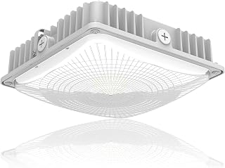 LED 75W Canopy Light Outdoor, Super Bright 5000K Daylight 9750LM IP65 Waterproof Outdoor Carport Ceiling Light, AC100-277V for Commercial Canopy Lights, Gas Station, Garage, Shop Lighting(1 Pack)