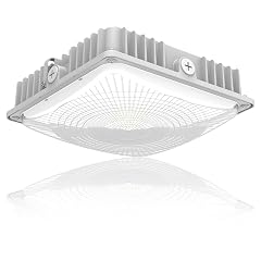 LED 75W Canopy Light Outdoor Super Bright 5000K Daylight 9750LM IP65 Waterproof Outdoor Carport Ceiling Light AC100-277V for