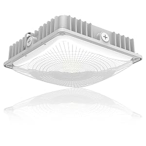 LED 75W Canopy Light Outdoor Super Bright 5000K Daylight 9750LM IP65 Waterproof Outdoor Carport Ceiling Light AC100-277V for