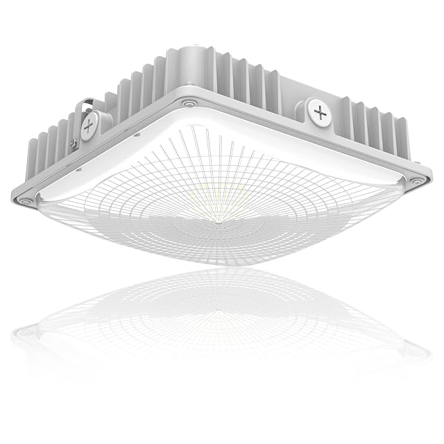 LED 75W Canopy Light Outdoor Super Bright 5000K Daylight 9750LM IP65 Waterproof Outdoor Carport Ceiling Light AC100-277V for