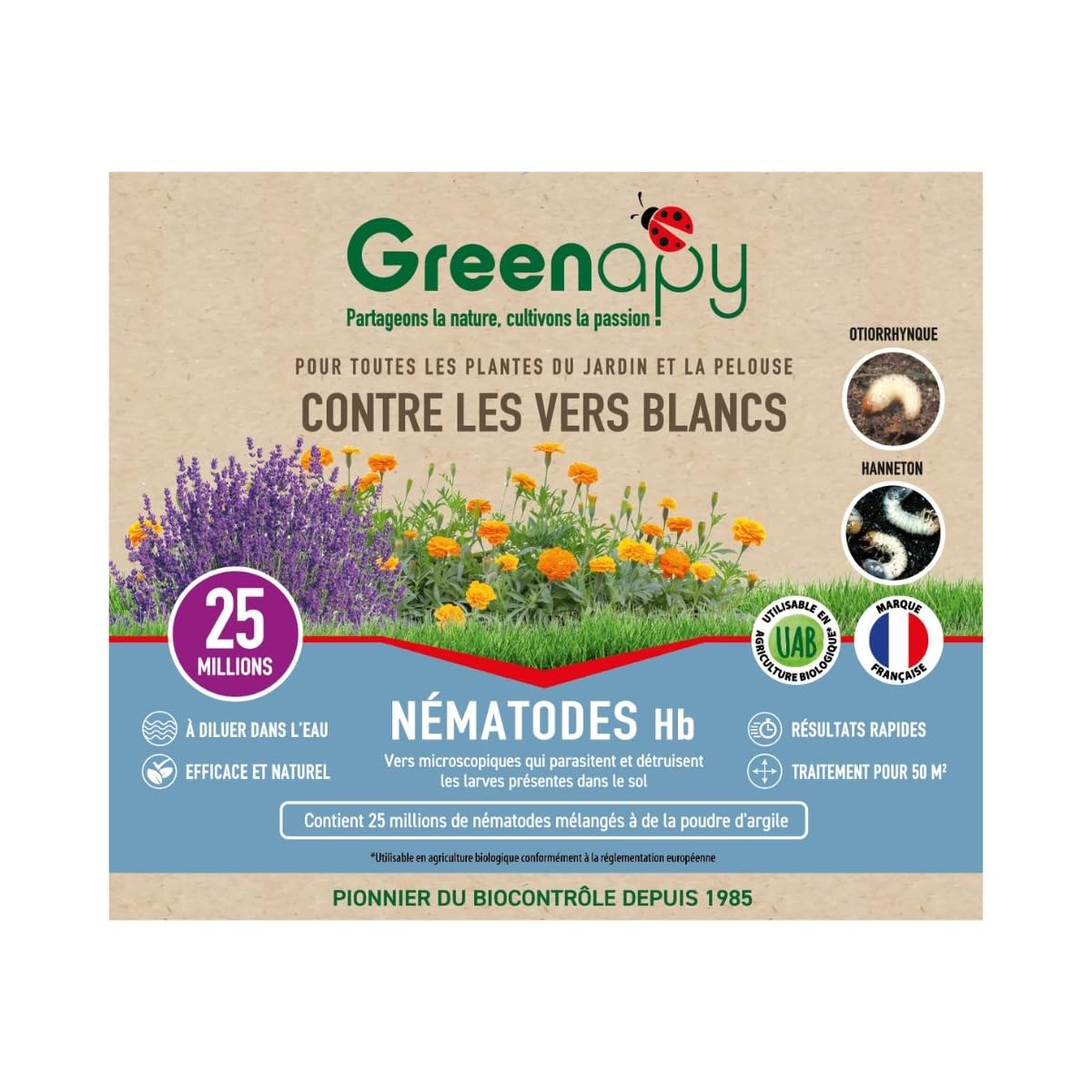Nématodes Hb anti vers blancs anti Otiorhynque - 25 millions