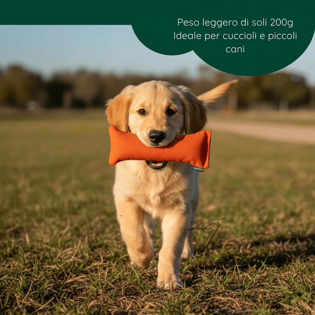 Romneys cuccioli-Dummy, circa 250 G