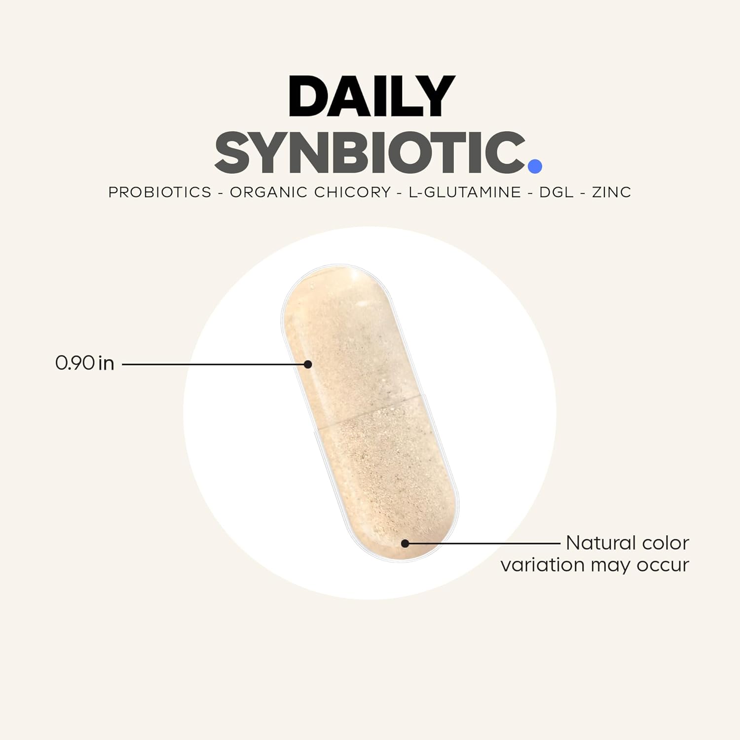 Codeage Daily Synbiotic Supplement - Prebiotics, Lactobacillus & Bifidobacterium Probiotics, L-Glutamine, Zinc L-Carnosine, DGL, Synbiotic Probiotic, BioPerine - Shelf-Stable - 30 Capsules