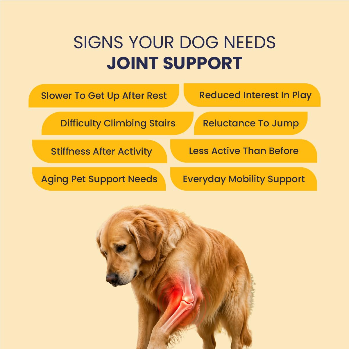 Fur Ball Story Jump-O-Joint Mobility Oil for Dogs & Cats – 100ml | Herbal Massage Oil for Joint & Muscle Care | Supports Mobility & Flexibility | for Regular Use — Amazon image 3