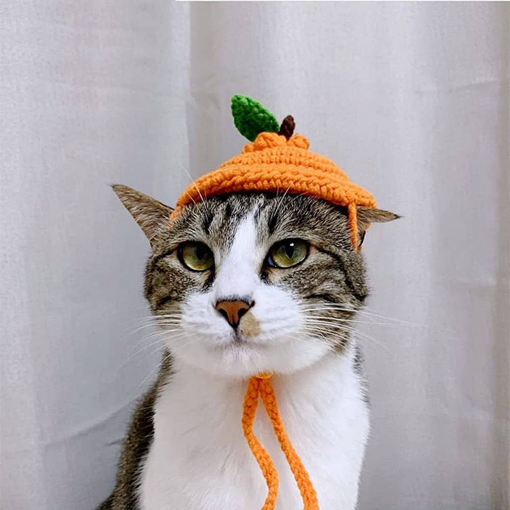 最終値下げandwang Fluffy cat knit hat andwang Fluffy cat knit hat